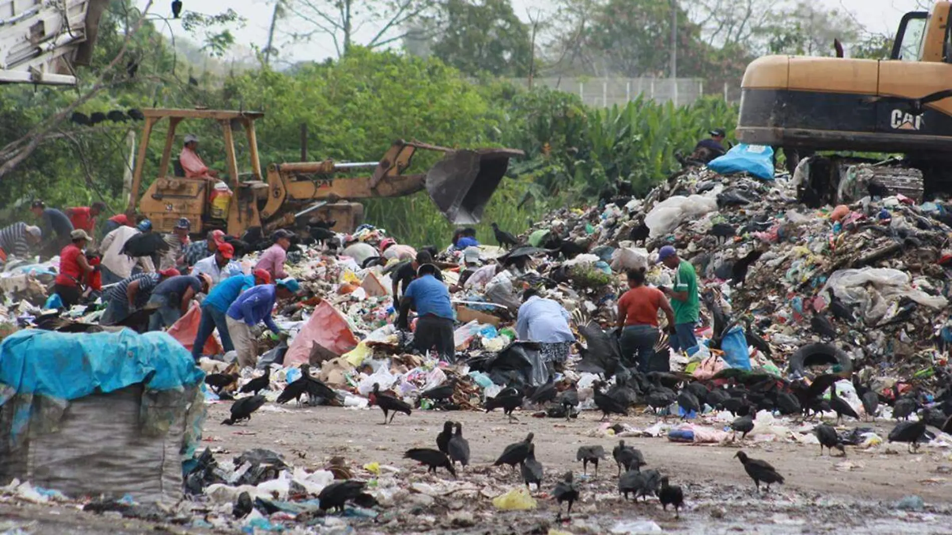 Basura8 copia